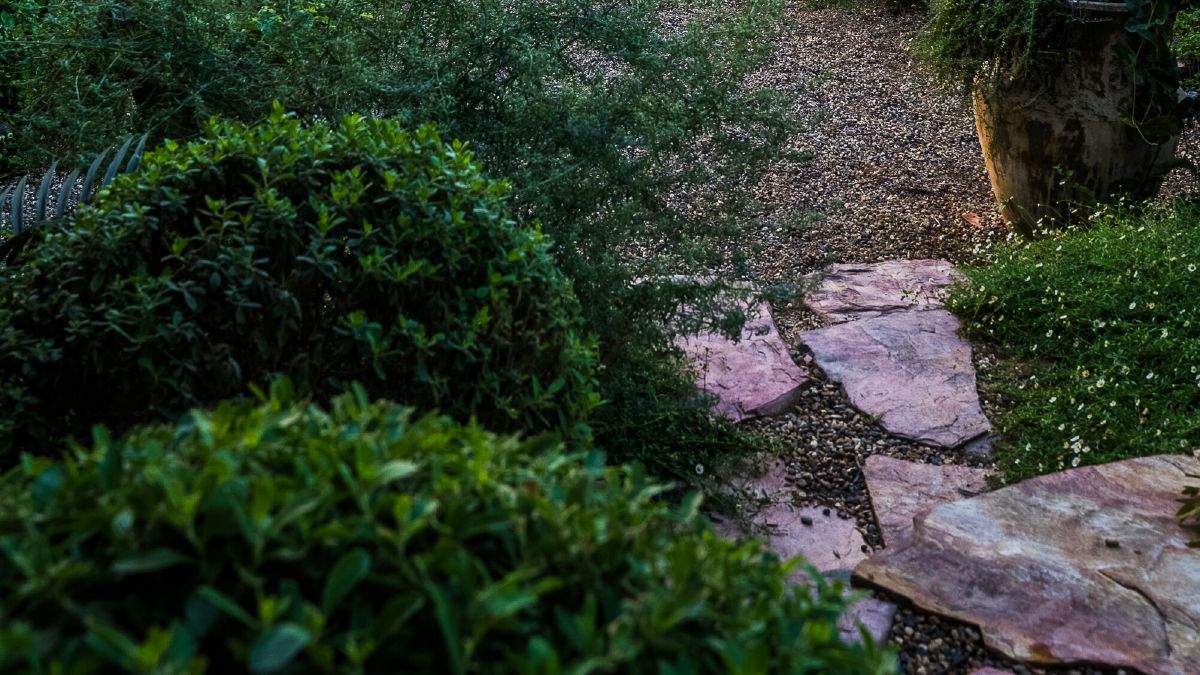 A stone garden path bordered by clipped shrubs, opening onto a lawn with paddy fields and hills beyond in late-afternoon light