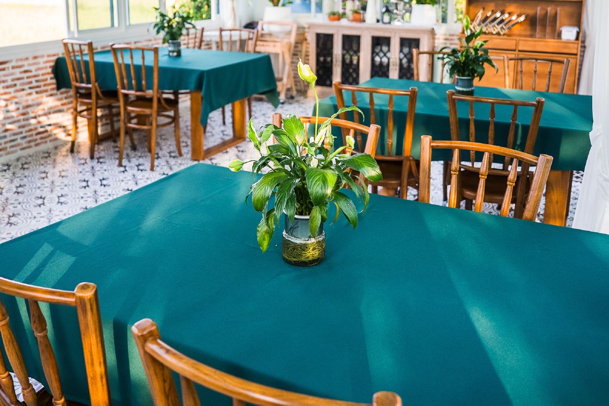 The WIROON dining room, tables laid in teal linen with wooden chairs, beneath tall windows onto the garden