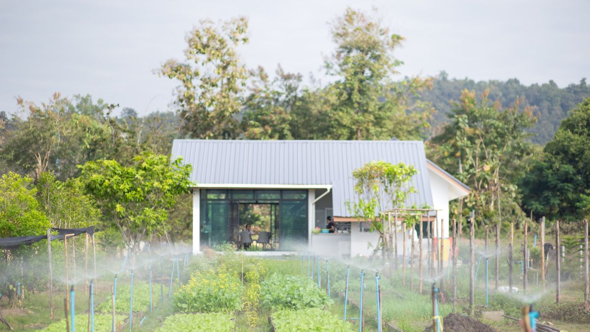Rows of vegetable beds under sprinkler irrigation at the WIROON farm in Doi Saket, with the farm pavilion and forested hills behind