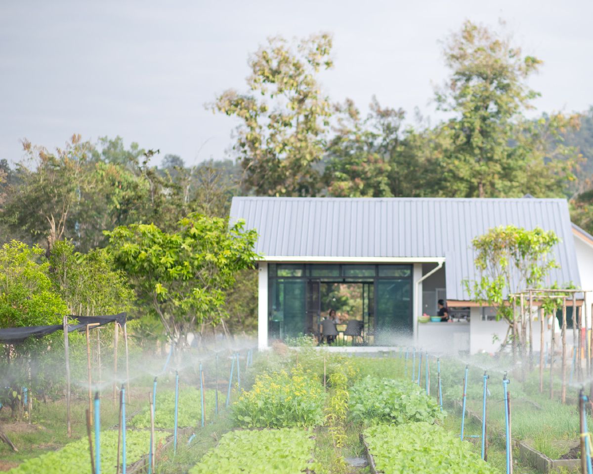 Rows of vegetable beds under sprinkler irrigation at the WIROON farm in Doi Saket, with the farm pavilion and forested hills behind