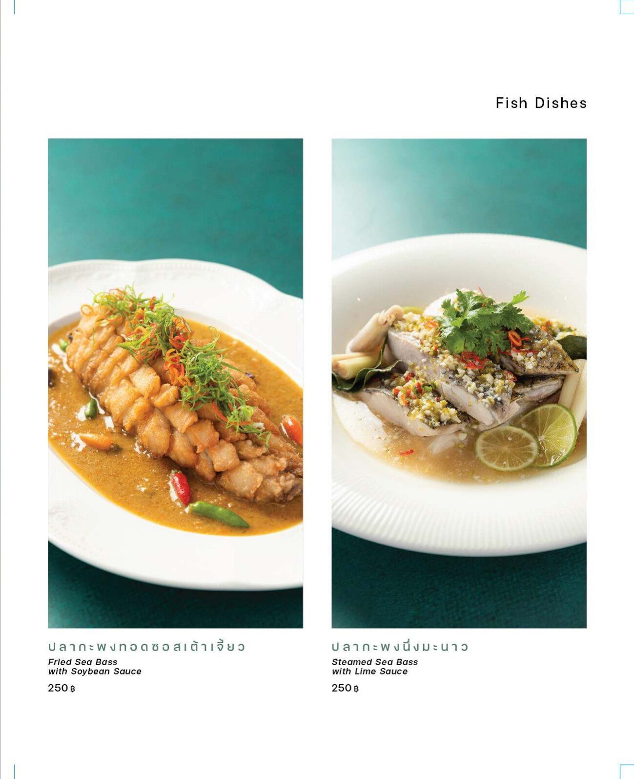 Menu page 19 of 29