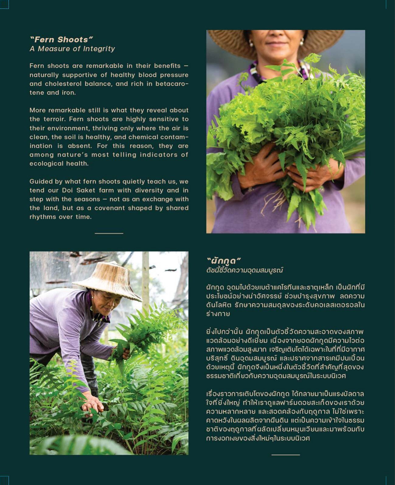 Menu page 28 of 29