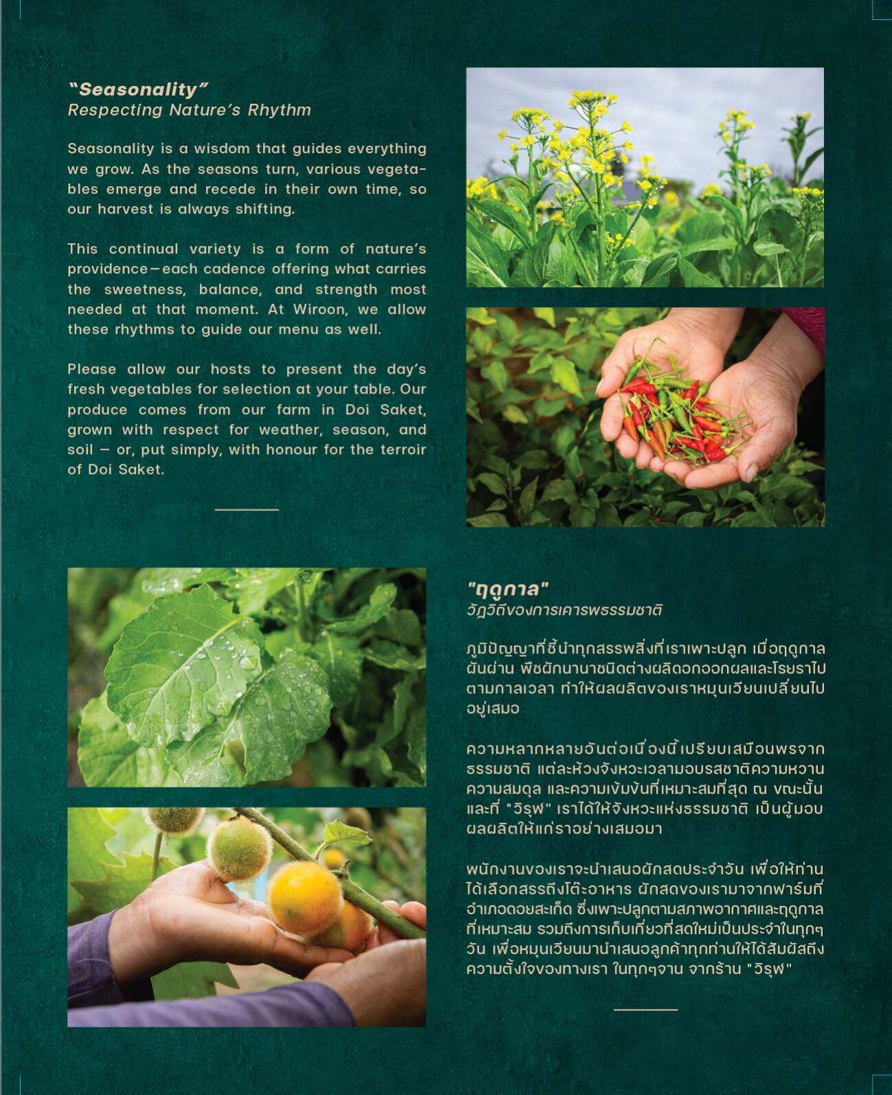 Menu page 29 of 29